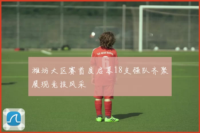 潍坊大区赛首度启幕18支强队齐聚展现竞技风采